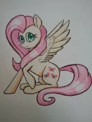 Size: 966x1288 | Tagged: safe, artist:ponime11, derpibooru import, fluttershy, pony, sitting, solo, traditional art