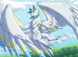 Size: 4482x3300 | Tagged: artist:cr0wskull, cloud, cutie mark, derpibooru import, hippogriff, looking back, oc, oc:cirrus sky, safe, sky, smiling, solo, spread wings, unofficial characters only, wings