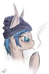 Size: 311x469 | Tagged: safe, artist:silviawing, derpibooru import, ponified, bat pony, pony, bust, chloe price, crossover, female, hat, life is strange, mare, nightpony, portrait, smoke, smoking