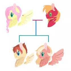 Size: 1092x1092 | Tagged: safe, artist:onedayhm, derpibooru import, big macintosh, fluttershy, oc, oc:honeycrisp, oc:plumeria breeze, earth pony, pegasus, pony, alternate hairstyle, base used, beard, braid, chest fluff, facial hair, family tree, female, fluttermac, freckles, male, mare, offspring, parent:big macintosh, parent:fluttershy, parents:fluttermac, scar, shipping, simple background, stallion, straight, torn ear, white background