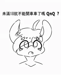 Size: 1675x2048 | Tagged: artist:cutiepoppony, chinese text, derpibooru import, monochrome, oc, safe, solo