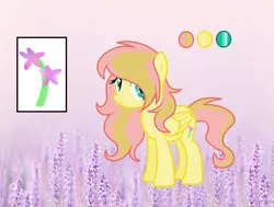 Size: 1616x1224 | Tagged: safe, artist:thesmall-artist, derpibooru import, oc, oc:lavender, pegasus, pony, female, mare, offspring, parent:braeburn, parent:fluttershy, parents:braeshy, reference sheet, solo