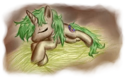 Size: 1209x773 | Tagged: safe, artist:equie, derpibooru import, oc, oc:equie, unofficial characters only, pony, female, hay, mare, simple background, sleeping, solo, transparent background