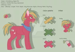 Size: 1024x711 | Tagged: safe, artist:kiralindocruz, derpibooru import, oc, oc:strawberry apple pie, unofficial characters only, earth pony, pony, baby, baby pony, base used, freckles, green background, male, neckerchief, offspring, parent:big macintosh, parent:marble pie, parents:marblemac, reference sheet, simple background, solo, stallion, story included, watermark