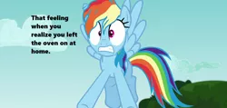 Size: 1280x608 | Tagged: airborne, cloud, cropped, derpibooru import, edit, edited screencap, every little thing she does, freaking out, messy hair, rainbow dash, safe, screencap, season 6, shrunken pupils, solo, text, tfw, this will end in fire, this will not end well, tree