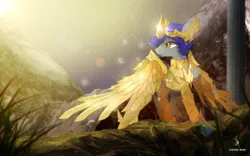 Size: 1440x900 | Tagged: safe, artist:zidanemina, derpibooru import, oc, oc:roodenn goldtrust, unofficial characters only, pegasus, pony, armor, blue hair, constellation, crossover, digital art, epic, gold cloth, gold saint, golden armor, grass, looking at something, male, sagittarius, saint seiya, shiny, signature, solo, stallion, stars, sunset, wings, zodiac