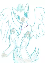 Size: 657x929 | Tagged: artist:alixnight, colored, cute, derpibooru import, hippogriff, male, safe, simple background, sketch, solo, terrabetes, terramar, white background