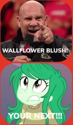 Size: 1163x1996 | Tagged: safe, artist:huntercwalls, derpibooru import, wallflower blush, equestria girls, equestria girls series, forgotten friendship, goldberg, meme, misspelling of you're