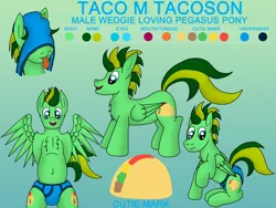 Size: 4032x3024 | Tagged: suggestive, artist:tacomytaco, derpibooru import, oc, oc:taco.m.tacoson, unofficial characters only, pegasus, pony, atomic wedgie, belly button, bipedal, blue underwear, both cutie marks, briefs, chest fluff, clothes, gradient background, male, reference sheet, tongue out, underwear, wedgie