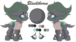 Size: 774x435 | Tagged: artist:mlpcrystalharmony, artist:selenaede, base used, changeling, changeling oc, clothes, derpibooru import, female, green changeling, oc, oc:blackthorne, pirate, reference sheet, safe, shirt, simple background, solo, transparent background, unofficial characters only