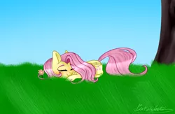 Size: 2000x1300 | Tagged: safe, artist:katzishiki, derpibooru import, fluttershy, pony, cute, prone, shyabetes, sleeping, solo