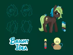 Size: 2000x1500 | Tagged: safe, artist:grim ponka, derpibooru import, oc, oc:bright idea, earth pony, pony, cutie mark, female, mare, reference sheet