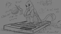 Size: 2154x1234 | Tagged: safe, artist:xeirla, derpibooru import, oc, oc:der, unofficial characters only, gryphon, calculator, equation, male, math, micro, monochrome, sketch, solo