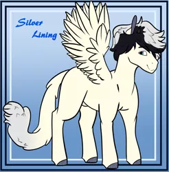 Size: 4720x4800 | Tagged: safe, artist:midnight-drip, derpibooru import, oc, oc:silver lining, hybrid, pegasus, pony, absurd resolution, interspecies offspring, male, offspring, parent:songbird serenade, parent:storm king, solo, stallion