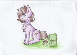 Size: 2048x1471 | Tagged: safe, artist:paigaakaambris, derpibooru import, oc, oc:gubrys, unofficial characters only, pony, unicorn, backpack, blue eyes, brown hair, grass, looking back, shrooms, simple background, sitting, smiling