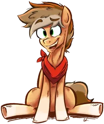 Size: 2135x2539 | Tagged: safe, artist:sukiwukidookie, derpibooru import, oc, oc:buck evergreen, unofficial characters only, earth pony, pony, 2019 community collab, derpibooru community collaboration, bandana, male, simple background, sitting, smiling, solo, stallion, transparent background