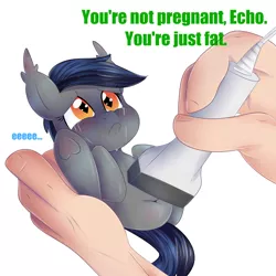 Size: 2000x2000 | Tagged: safe, alternate version, artist:donutnerd, derpibooru import, oc, oc:echo, bat, bat pony, pony, bat pony oc, crying, eeee, fat, food baby, holding a pony, hooves to the chest, legs in air, not pregnant, obese, offscreen character, round, rude humor, sad, smol, ultrasound