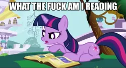 Size: 599x323 | Tagged: safe, derpibooru import, edit, edited screencap, screencap, twilight sparkle, pony, unicorn, friendship is magic, book, book of harmony, female, image macro, mare, meme, reaction image, reading, solo, swearing, unicorn twilight, vulgar, what the fuck am i reading