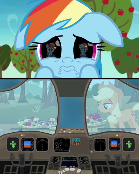 Size: 3150x3946 | Tagged: safe, derpibooru import, edit, edited screencap, screencap, applejack, rainbow dash, earth pony, pegasus, pony, grannies gone wild, not asking for trouble, airplane dash, apple, apple tree, captain, clothes, co-pilot, cockpit, control, eye, eyes, female, flight, food, mare, pilot, pilot dash, plane, puppy dog eyes, reflection, shocked, tree, unamused, uniform, wat, window, wiper