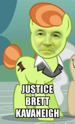 Size: 360x596 | Tagged: safe, derpibooru import, edit, edited screencap, screencap, lady justice, mayor mare, swift justice, earth pony, human, pony, a friend in deed, brett kavanaugh, cropped, female, irl, irl human, mare, photo, politics, pun, us politics, wat