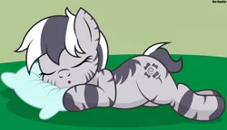 Size: 5000x2882 | Tagged: artist:an-tonio, derpibooru import, eyes closed, female, oc, oc:florida, pillow, safe, sleeping, solo, unofficial characters only, vector, zebra, zebra oc