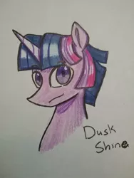 Size: 966x1288 | Tagged: safe, artist:ponime11, derpibooru import, twilight sparkle, pony, bust, dusk shine, male, portrait, rule 63, solo, stallion, traditional art