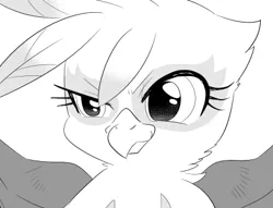 Size: 425x325 | Tagged: safe, artist:akira bano, derpibooru import, gilda, gryphon, female, image, looking at you, monochrome, png, solo