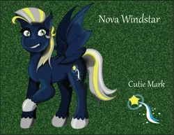 Size: 795x614 | Tagged: safe, artist:nightveil, artist:nightveilnocturne, derpibooru import, oc, oc:nova windstar, bat pony, reference sheet