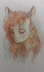 Size: 449x728 | Tagged: safe, artist:exclusionzone, derpibooru import, pear butter, earth pony, pony, bust, colored pencil drawing, eyes closed, female, flower, flower in hair, freckles, mare, pencil drawing, portrait, simple background, solo, traditional art, white background