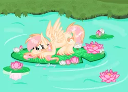 Size: 700x504 | Tagged: safe, artist:xxsakuragalaxyxx, derpibooru import, oc, oc:appleshy, unofficial characters only, pegasus, pony, colored hooves, female, filly, flower, freckles, giant lilypad, lilypad, mare, offspring, parent:big macintosh, parent:fluttershy, parents:fluttermac, solo, unshorn fetlocks