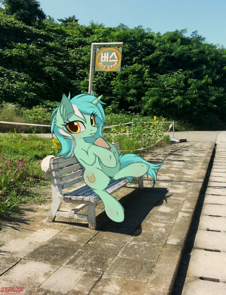 Size: 1538x2000 | Tagged: safe, artist:orang111, derpibooru import, lyra heartstrings, unicorn, bench, bus stop, drink, female, fluffy, irl, korean, looking at you, mare, meme, photo, ponies in real life, real life background, sitting, sitting lyra, solo, straw