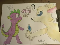 Size: 4032x3024 | Tagged: artist:chiptunebrony, copic, derpibooru import, faic, frightened, gem, irl, looking at each other, magic, oc, oc:diva angelique, painting, photo, qinnisian, question mark, safe, spike, sweat, telekinesis, text, the symnatrix chronicles, thought bubble, traditional art, written