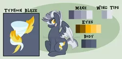 Size: 1830x894 | Tagged: safe, artist:ipandacakes, derpibooru import, oc, oc:typhoon blaze, pegasus, pony, male, offspring, parent:lightning dust, parent:thunderlane, parents:thunderdust, reference sheet, sitting, solo, stallion