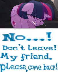 Size: 756x942 | Tagged: alicorn, artist:horsesplease, bronybait, caption, crying, derpibooru import, expand dong, exploitable meme, gameloft, image macro, immortality blues, lonely, meme, my little pony: the movie, sad, safe, solo, twilight sparkle, twilight sparkle (alicorn)