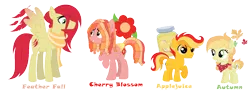 Size: 1408x546 | Tagged: safe, artist:andy-hazards, derpibooru import, oc, oc:applejuice, oc:autumn leaves, oc:cherry blossom, oc:featherwing fall, unofficial characters only, earth pony, pegasus, pony, base used, braid, clothes, colored wings, colored wingtips, colt, dreadlocks, female, filly, freckles, gradient wings, male, mare, neckerchief, offspring, parent:big macintosh, parent:fluttershy, parents:fluttermac, pigtails, scarf, siblings, simple background, stallion, transparent background, twintails