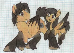 Size: 3841x2783 | Tagged: safe, artist:pollito15, derpibooru import, oc, oc:jennifer miranda, unofficial characters only, pegasus, pony, duo, father and daughter, female, graph paper, high res, lined paper, male, mare, stallion, traditional art, two toned wings