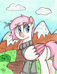 Size: 5064x6599 | Tagged: safe, artist:pollito15, derpibooru import, oc, oc:kailly, pegasus, pony, absurd resolution, clothes, female, mare, solo, sweater, traditional art, two toned wings