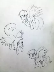 Size: 600x800 | Tagged: safe, artist:murphylaw4me, derpibooru import, derpy hooves, fluttershy, rainbow dash, pegasus, pony, female, mare, monochrome, sketch, traditional art