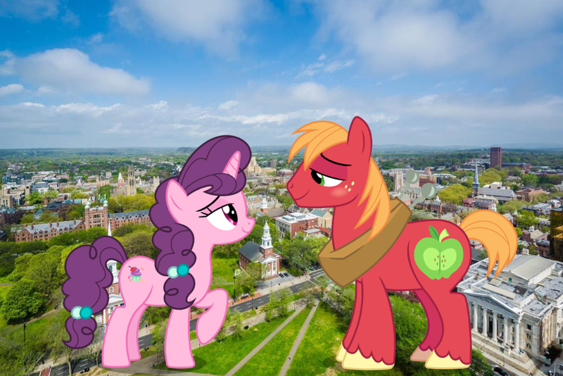 Size: 1000x667 | Tagged: safe, artist:jerryakira79, derpibooru import, big macintosh, sugar belle, pony, unicorn, female, giant pony, highrise ponies, irl, macro, male, photo, shipping, straight, sugarmac