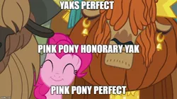 Size: 888x499 | Tagged: cute, derpibooru import, edit, edited screencap, image macro, logic, meme, not asking for trouble, pinkie pie, prince rutherford, safe, screencap, syllogism, yak