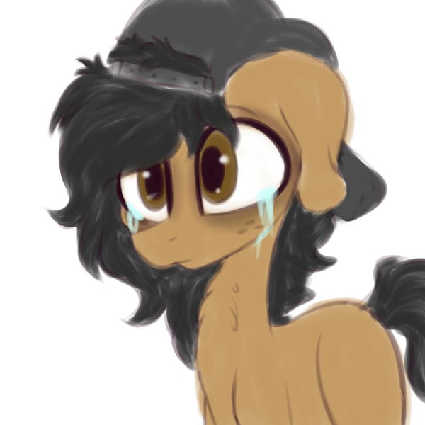 Size: 3000x3000 | Tagged: artist:claudearts, backwards ballcap, baseball cap, blank flank, cap, crying, derpibooru import, hat, oc, oc:sketcher, puppy dog eyes, sad, safe, solo