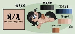 Size: 1369x627 | Tagged: safe, artist:ipandacakes, derpibooru import, oc, oc:wren, pegasus, pony, adopted offspring, amputee, female, filly, parent:apple bloom, parent:tender taps, parents:tenderbloom, reference sheet, solo