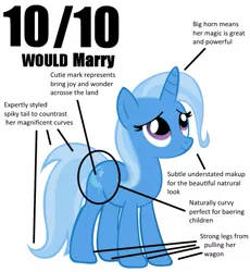 Size: 551x600 | Tagged: safe, derpibooru import, trixie, pony, unicorn, 10/10, 4chan, best pony, female, happy, looking up, mare, marry, meme, misspelling, simple background, solo, text, waifu, white background