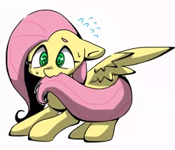 Size: 720x620 | Tagged: safe, artist:asg, derpibooru import, fluttershy, pegasus, pony, female, hiding behind tail, looking at you, mare, simple background, solo, white background