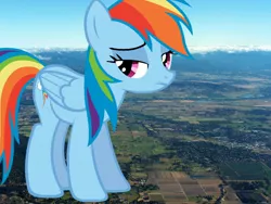 Size: 2576x1932 | Tagged: safe, artist:jerryakira79, derpibooru import, rainbow dash, pegasus, pony, female, giant pony, giant rainbow dash, highrise ponies, irl, macro, mega/giant rainbow dash, photo