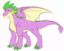 Size: 2000x1600 | Tagged: artist:canisrettmajoris, colored claws, derpibooru import, dragon, male, older, older spike, quadrupedal spike, safe, simple background, smiling, solo, spike, white background, winged spike