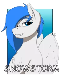 Size: 2046x2587 | Tagged: safe, artist:wcnimbus, derpibooru import, oc, oc:snowstorm, unofficial characters only, pegasus, pony, badge, comic sans, con badge, gradient background, male, simple background, solo, stallion, transparent background, wings