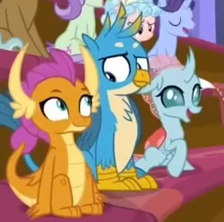 Size: 1017x1007 | Tagged: safe, derpibooru import, edit, edited screencap, screencap, cozy glow, gallus, november rain, ocellus, smolder, violet twirl, changedling, changeling, dragon, gryphon, pegasus, pony, a matter of principals, claws, cropped, dragoness, female, filly, friendship student, looking at each other, male, shipping fuel, smiling