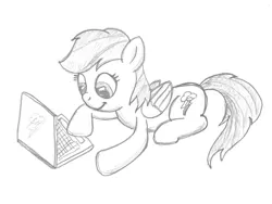 Size: 1000x750 | Tagged: safe, artist:m.w., derpibooru import, rainbow dash, pegasus, pony, /mlp/, 4chan, computer, cute, drawthread, female, laptop computer, mare, monochrome, prone, simple background, smiling, solo, traditional art, white background
