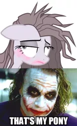 Size: 500x819 | Tagged: safe, derpibooru import, pinkie pie, earth pony, pony, yakity-sax, cross-eyed, eyeshadow, female, heath ledger, lidded eyes, makeup, mare, meme, pinkamena diane pie, pinkie joker, that's my pony, that's my x, the dark knight, the joker